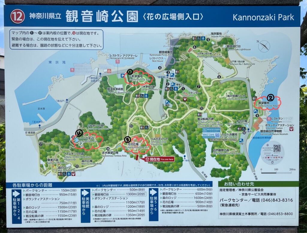 観音崎公園の園内マップ